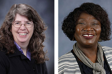 Professors earn Distinguished rank among SUNY colleagues