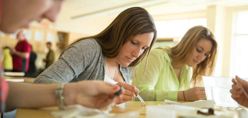 Students working on a science experiment