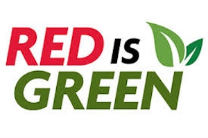 Sustainability Office introduces spring Green Reps