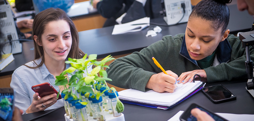 Students working together and taking notes on a plant