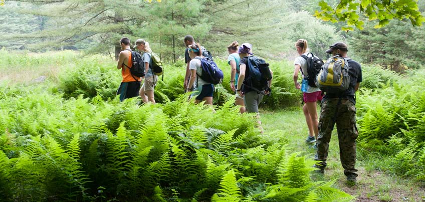 Students hiking through the woods