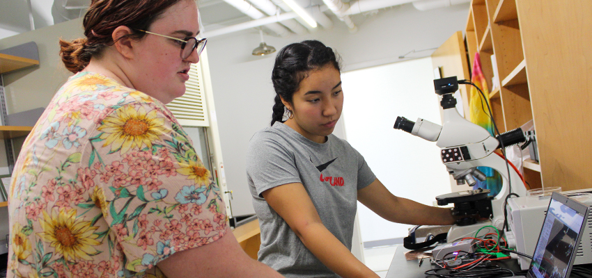 Two chemistry students looking at a computer