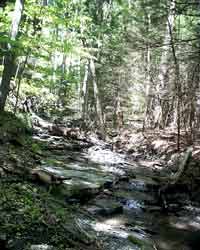 Hoxie Gorge stream